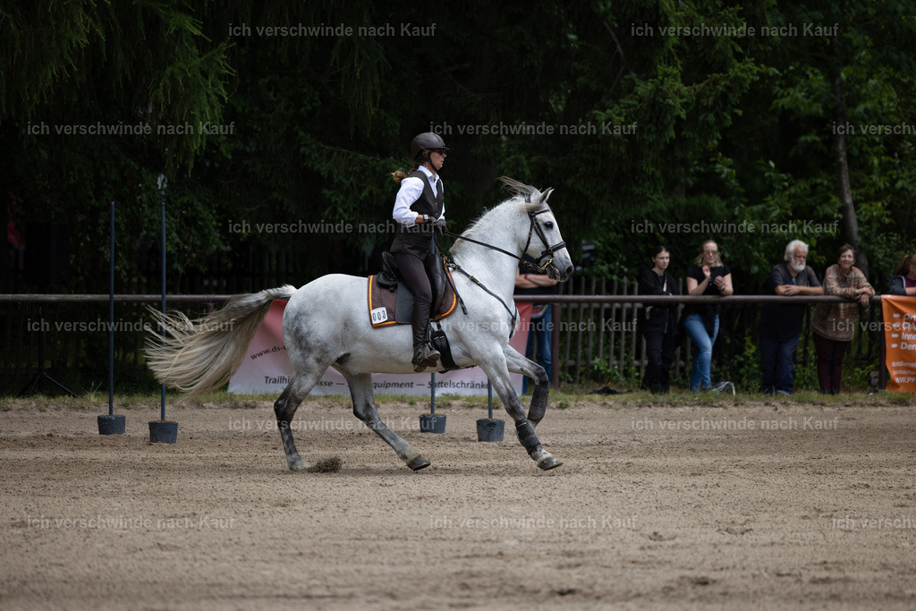 Masterclass_stoibphotography_C2_C8017.CR3 | working equitationturnier fotograf videograf stoibphotography marixx film working equitation deutschland reitsport turnierfotografie eventfotografie equestrian events