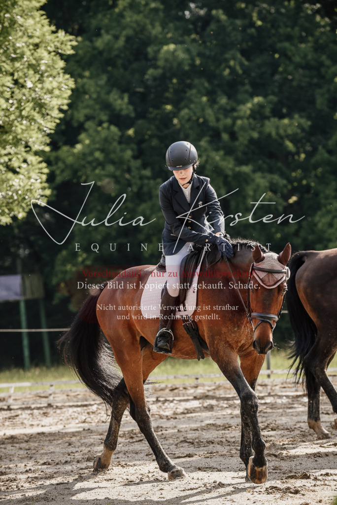 DSC_8693 | Pferde- und Turnierfotografie in Westsachsen. Pferdeportraits, Auftragszeichnungen und intuitive Kunst.