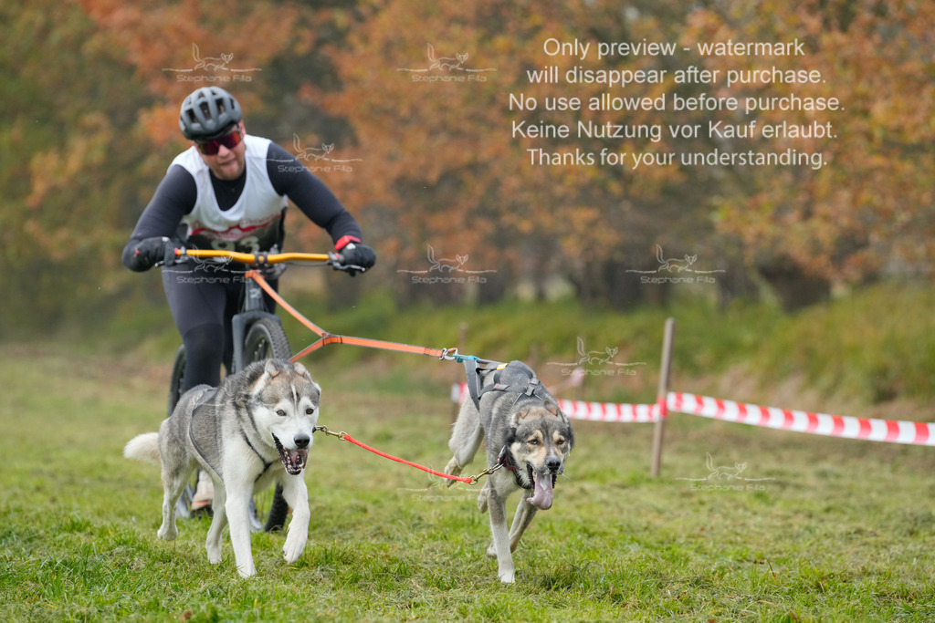 Visbeck_Sa_DS2DR2-11 | stephaniefillaphotographie - Realisiert mit Pictrs.com