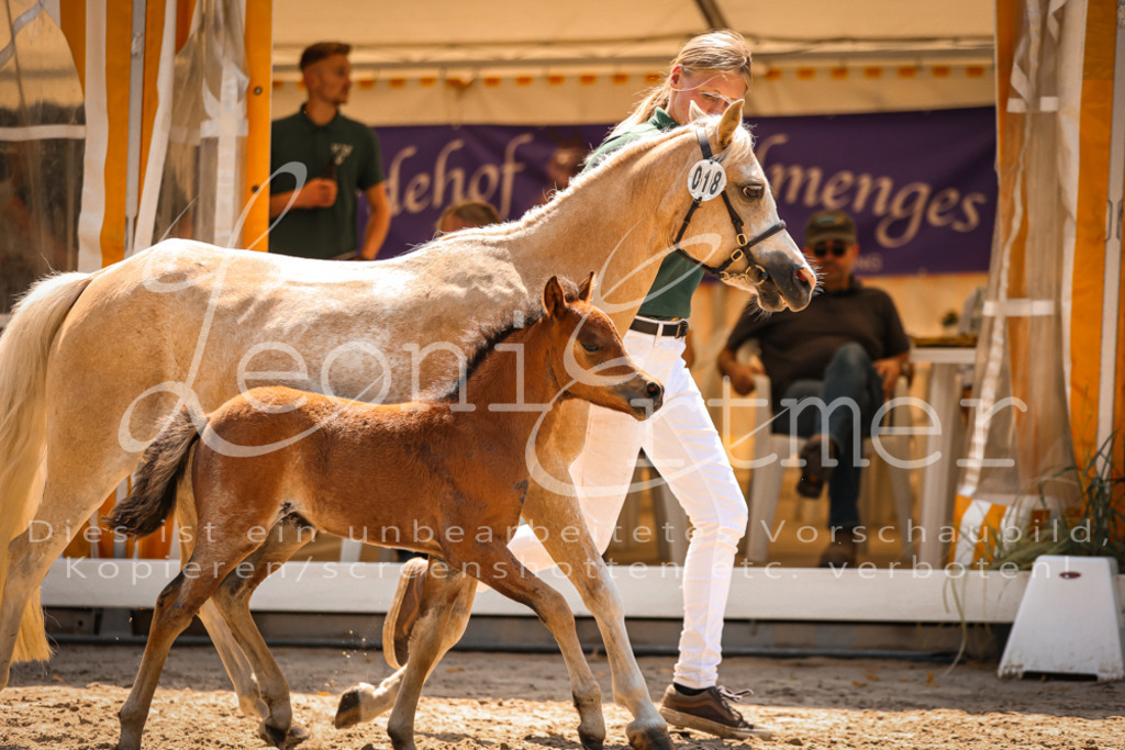 04.DoWP00074 | Leoni Ertmer Photography - Realisiert mit Pictrs.com