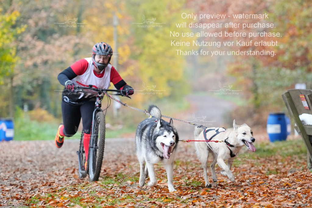 ScooterRigs2dogs_So-22 | stephaniefillaphotographie - Realisiert mit Pictrs.com