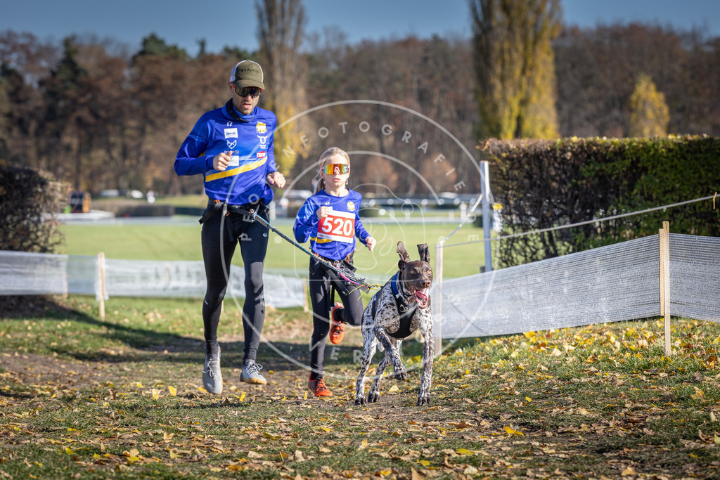 CaniXpix_DV3A8103 | Hundefotografie, Tierfotograf, Pfotenfotografie, Fotoshooting Hund, Hunde Portrait, Hundesport, Hundeportraits, Heideshooting, Hunde, Sportfotograf, Hundefotograf, Turnierhundsport, THS,  - Realisiert mit Pictrs.com