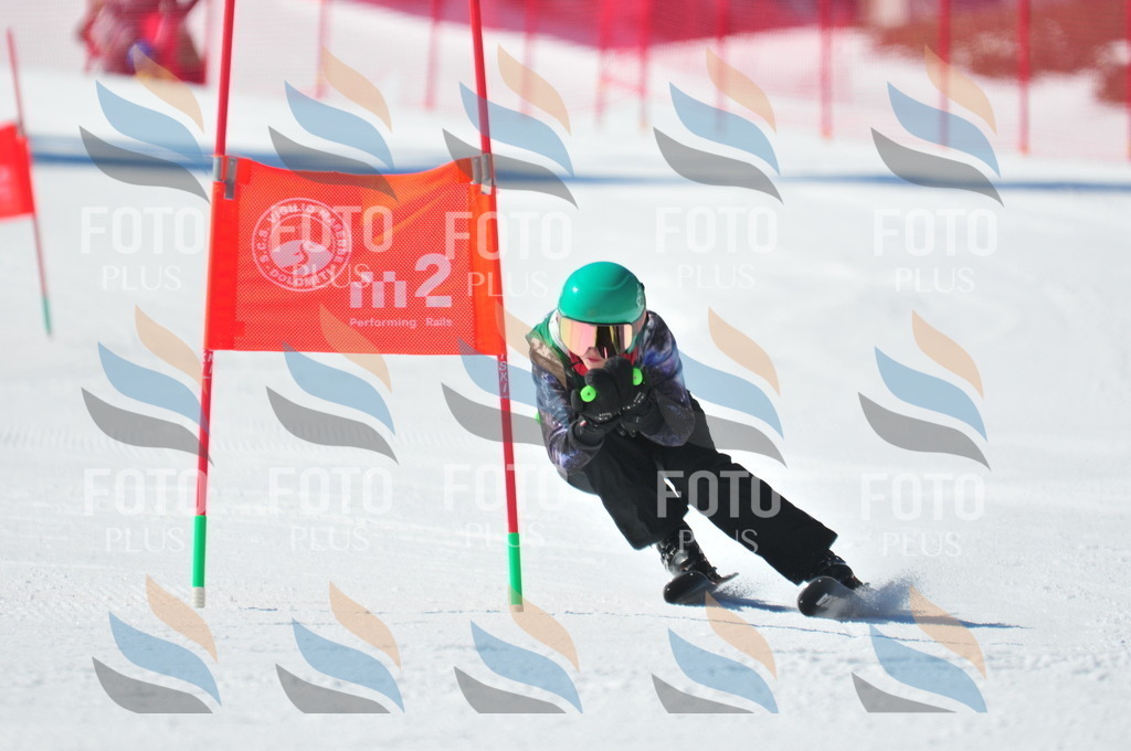 C4209 | holidayphoto