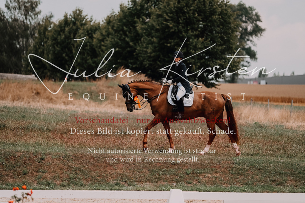 DSC_3712 | Pferde- und Turnierfotografie in Westsachsen. Pferdeportraits, Auftragszeichnungen und intuitive Kunst.