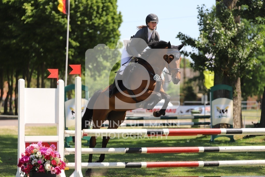 IMG_6315 | Pauline Ullmann Photography - Realisiert mit Pictrs.com