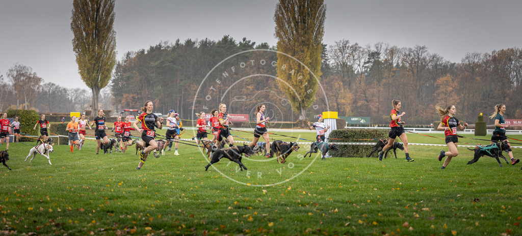 CaniXpix_DV3A8785 | Hundefotografie, Tierfotograf, Pfotenfotografie, Fotoshooting Hund, Hunde Portrait, Hundesport, Hundeportraits, Heideshooting, Hunde, Sportfotograf, Hundefotograf, Turnierhundsport, THS,  - Realisiert mit Pictrs.com