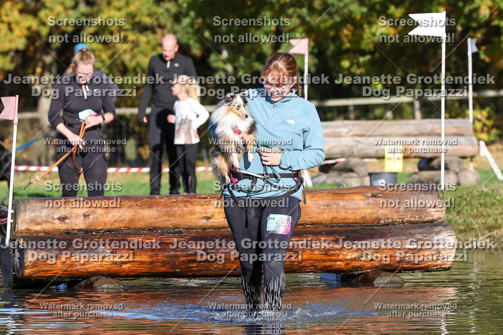 Dog Paparazzi - Strongdog 10-25-8691 | Dog Paparazzi Jeanette Grottendiek Fotografie & Videografie - Realisiert mit Pictrs.com