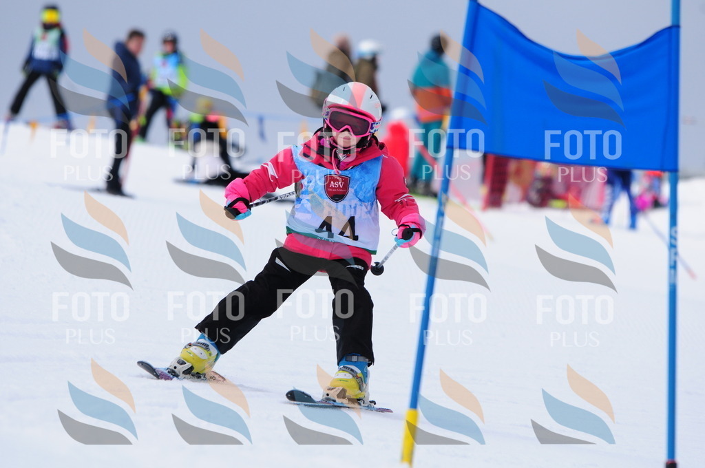 A3533 | holidayphoto