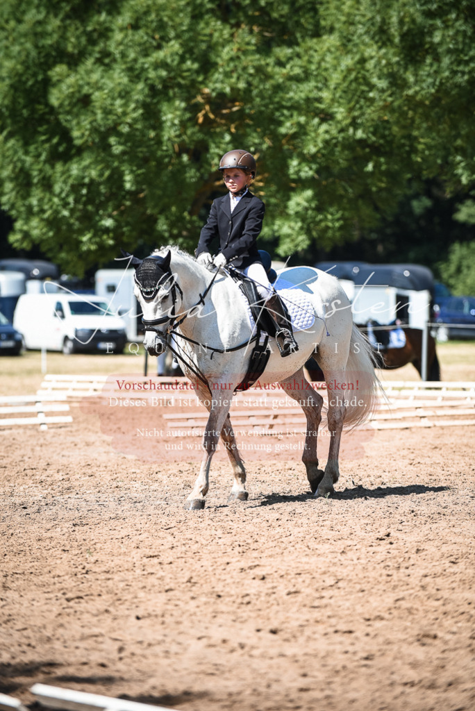 DSC_3613 | Pferde- und Turnierfotografie in Westsachsen. Pferdeportraits, Auftragszeichnungen und intuitive Kunst.