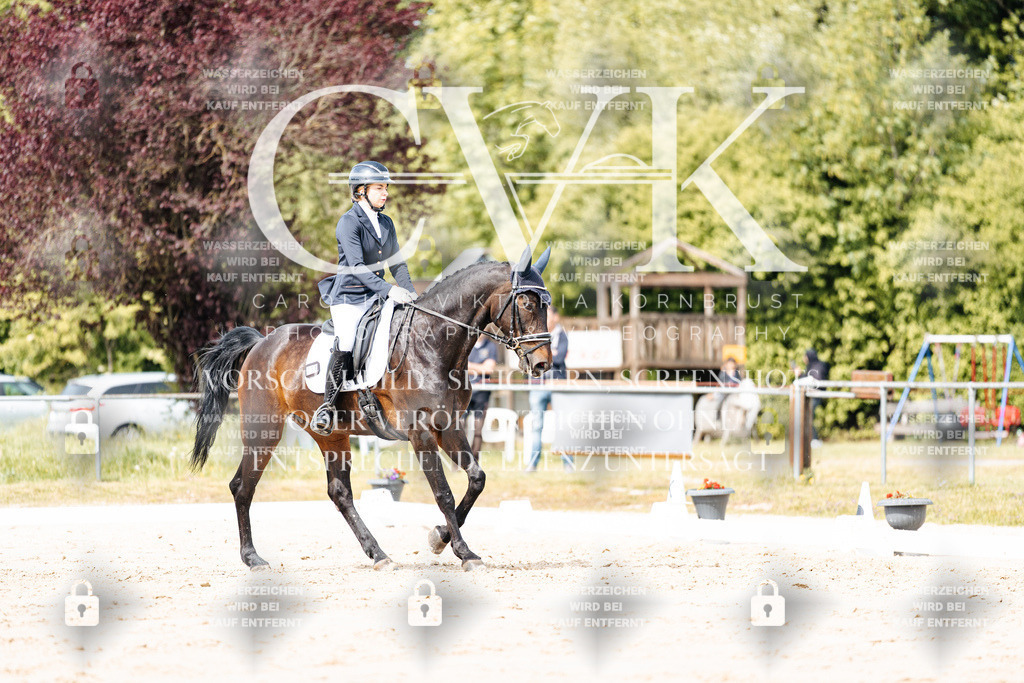CK901182 | Turnierfotografie Pferdefotografie Trier Rheinland-Pfalz Pferdesport Reitsport Tierfotografie Sportfotografie Pferdevideo Pferdevideografie Equestrianvideography equestrianphotography  - Realisiert mit Pictrs.com