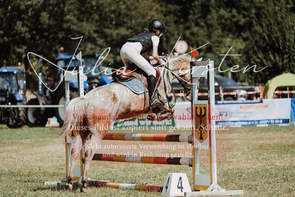 DSC_9758 | Pferde- und Turnierfotografie in Westsachsen. Pferdeportraits, Auftragszeichnungen und intuitive Kunst.