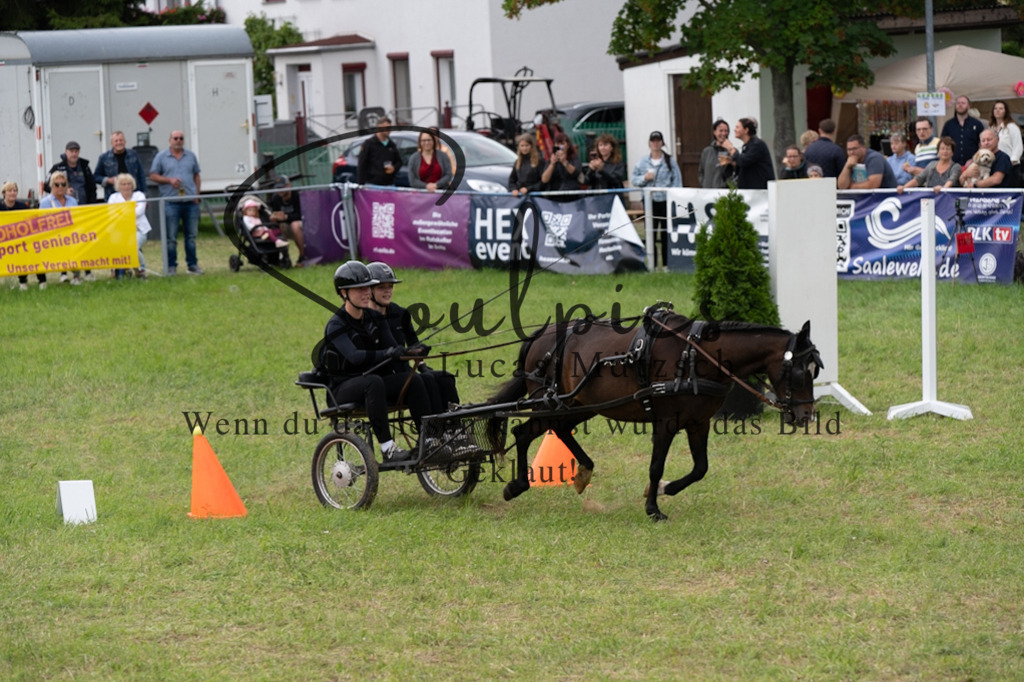 A7V06140 | Pferdefotograf