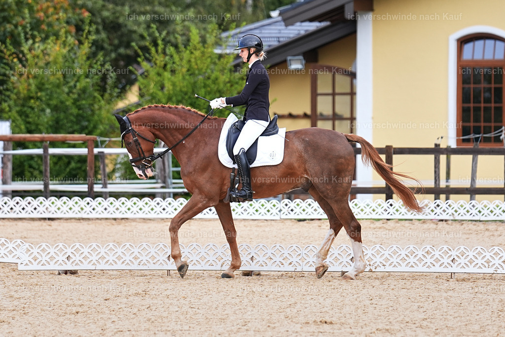 02-037-DRESSUR L_  -Marixx-4813 | working equitationturnier fotograf videograf stoibphotography marixx film working equitation deutschland reitsport turnierfotografie eventfotografie equestrian events