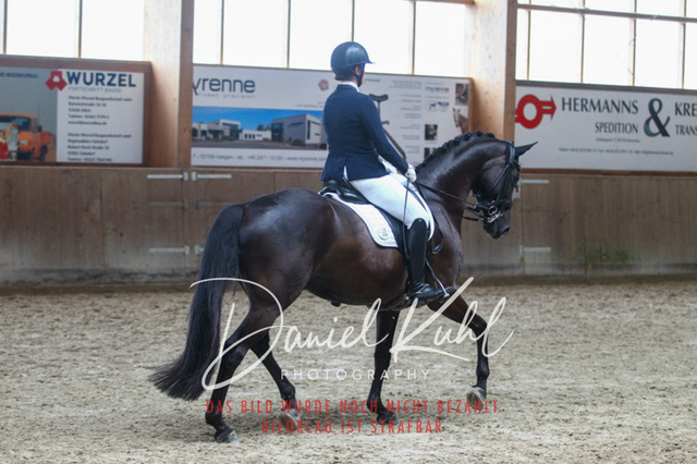 DKP44554 | Turniersportfotografie; Pferdefotografie; Dressurfotografie