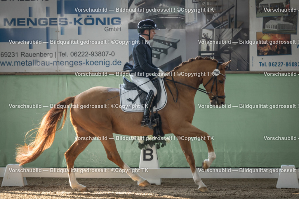 _D5A0439 | Emotionale Pferde- & People-Fotografie rund um Heidelberg, Leimen & Umgebung. Natürliche Fotos von Pferd, Mensch & Familie. Jetzt Termin sichern!