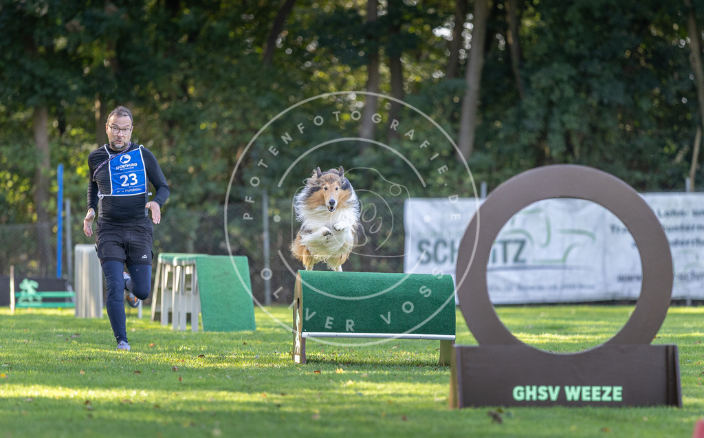 Pfotenfotografie.de_DV3A3494 | Hundefotografie, Tierfotograf, Pfotenfotografie, Fotoshooting Hund, Hunde Portrait, Hundesport, Hundeportraits, Heideshooting, Hunde, Sportfotograf, Hundefotograf, Turnierhundsport, THS, canicross - Realisiert mit Pictrs.com