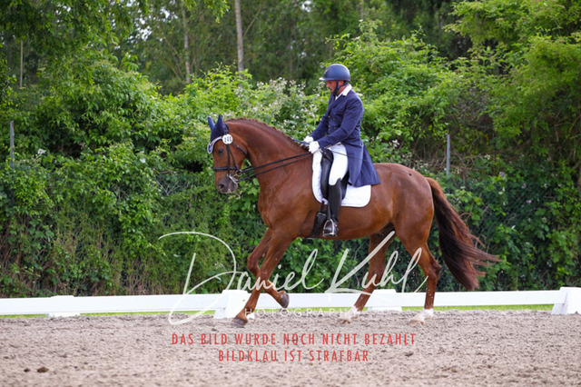 DKP41484 | Deine Turnierfotos vom Reitturnier online kaufen: Dressur, Springen & Siegerehrung. Professionelle Pferdefotografie aus dem Rheinland – als Download & Print.Alternative: Turnierfotograf für den Pferdesport: Finde deine Fotos von Dressur- und Springturnier