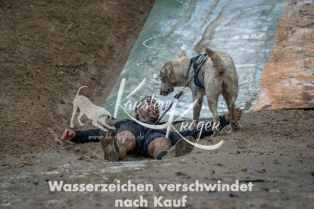 1626_ZZ92061-Bearbeitet | kk-dogfotos