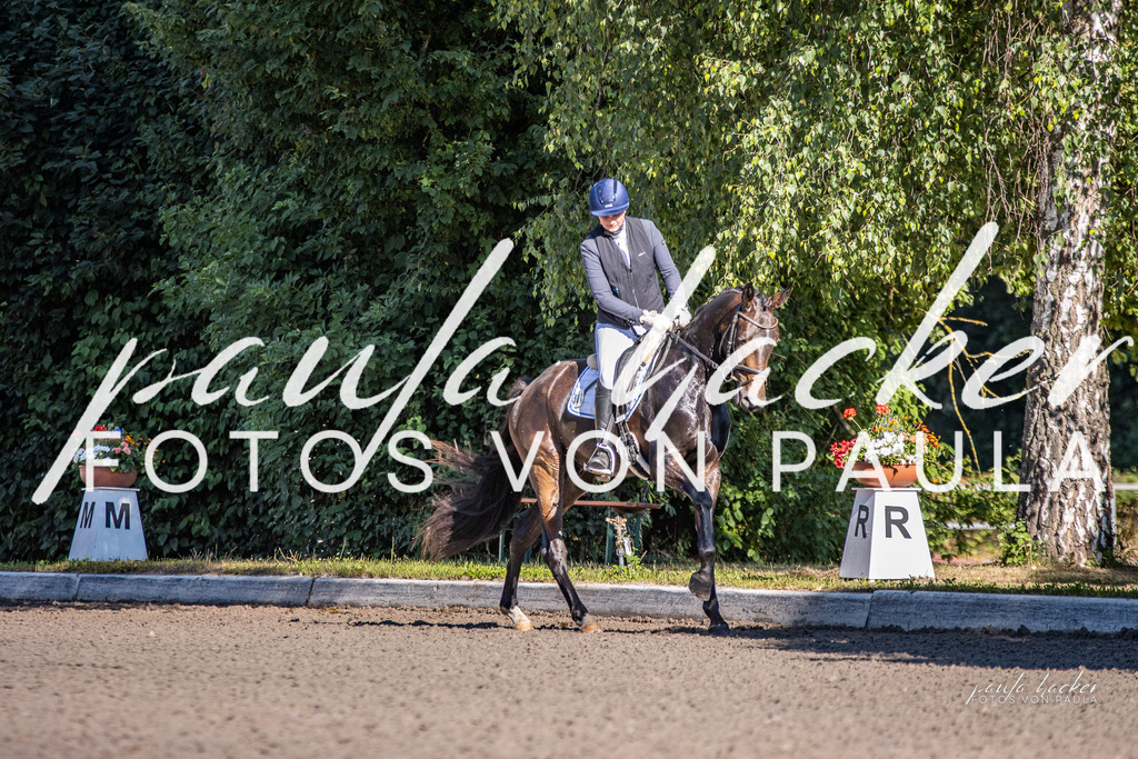 IMG_7936 | Erleben Sie dynamische Sport- und emotionale Tierfotografie in Süddeutschland mit Fotos von Paula. Spezialisiert auf Pferde- und Hundefotografie sowie Sportevents. Kontaktieren Sie mich für einzigartige und ausdrucksstarke Bilder Ihrer besonderen Momente.