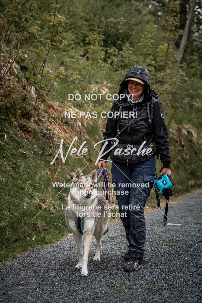 nelerasche_SaAbends_220 | nelerasche