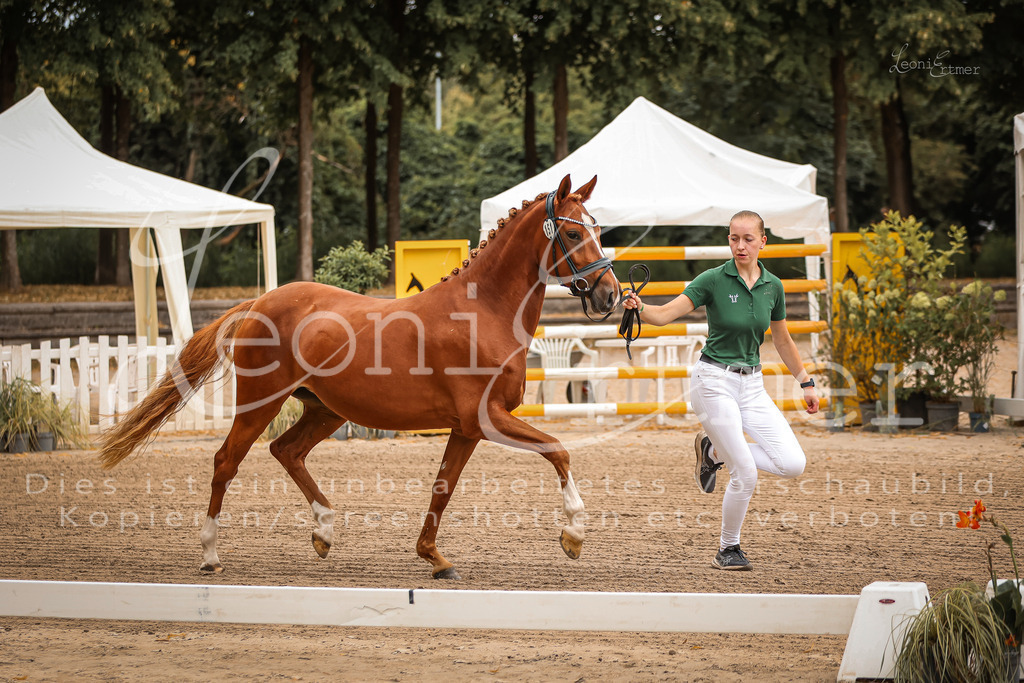 07.So00068 | Leoni Ertmer Photography - Realisiert mit Pictrs.com