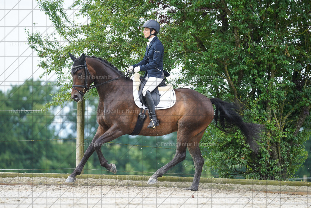 20230826-FAH04392 | Forstinning, 2023, Dressurturnier, Turniersportbilder, Turnierfotografen Bayern, Fotoagentur Herrmann, Reitsportfotografie, Turnierbilder