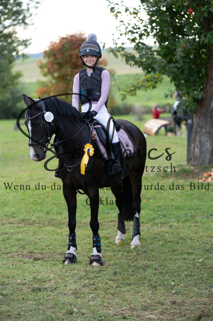 A7V03120 | Turnier/Reitfotograf