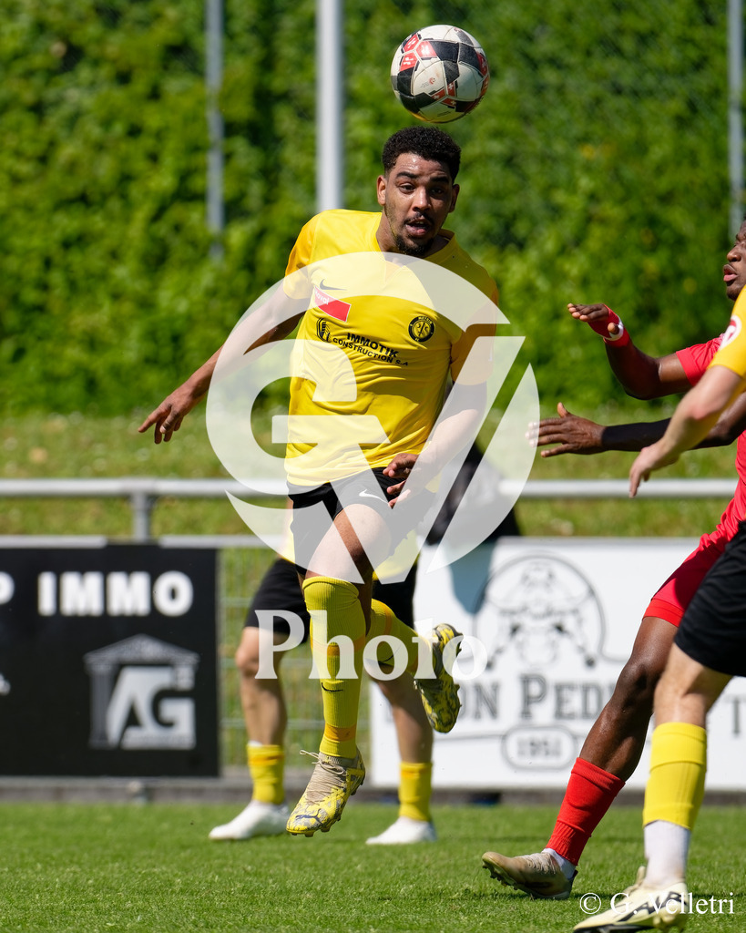 DSC_7887 | Velletri Photo