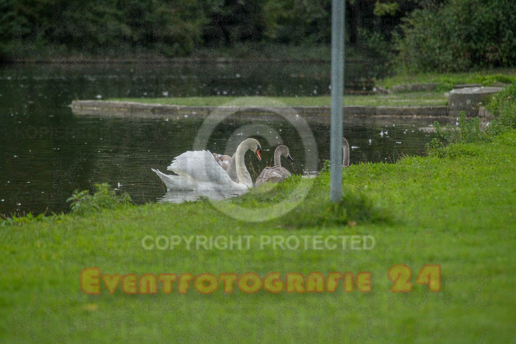231015_0900_EV4_9146 | Sportfotografie im Rhein-Sieg Kreis, Köln, Bonn, NRW, Rheinland Pfalz, Hessen, etc. Unser Tätigkeitsfeld umfasst den Laufsport vom Volkslauf über den Marathon, Duathlon, Triathon bis zum Ultralauf wie Kölnpfad Ultra oder Schindertrail.
