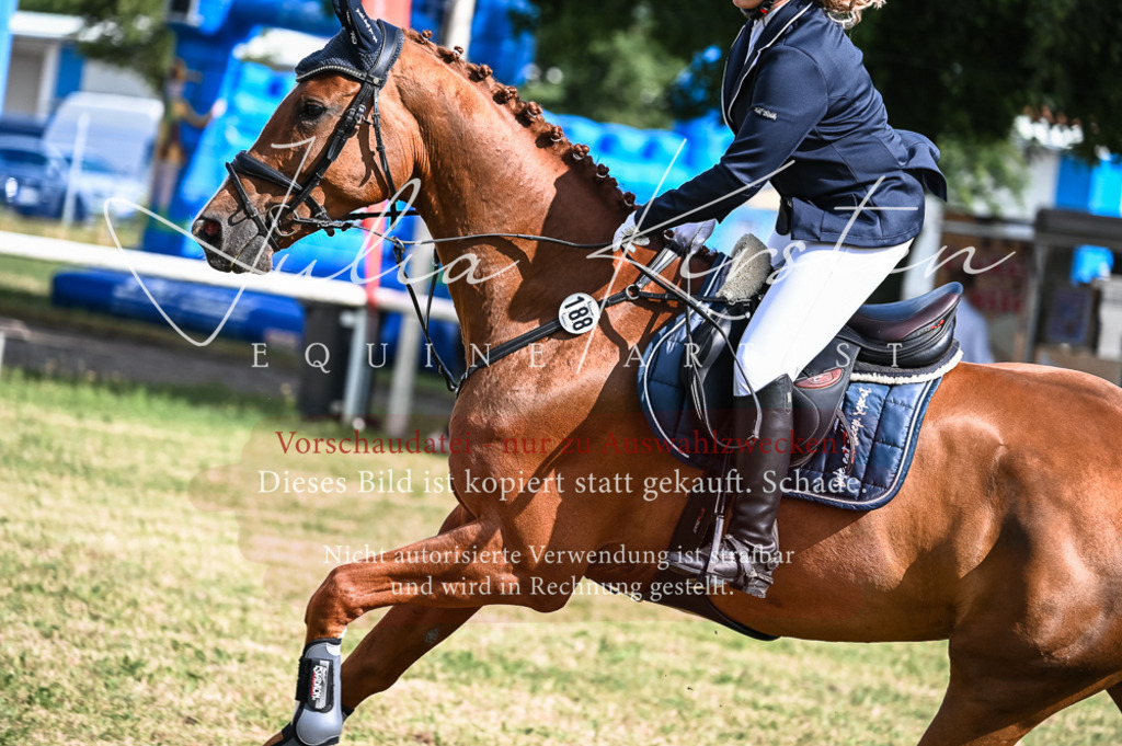 DSC_7759 | Pferde- und Turnierfotografie in Westsachsen. Pferdeportraits, Auftragszeichnungen und intuitive Kunst.