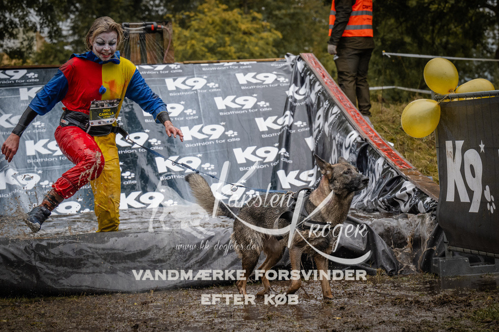 1114_ZZ92338 | kk-dogfotos