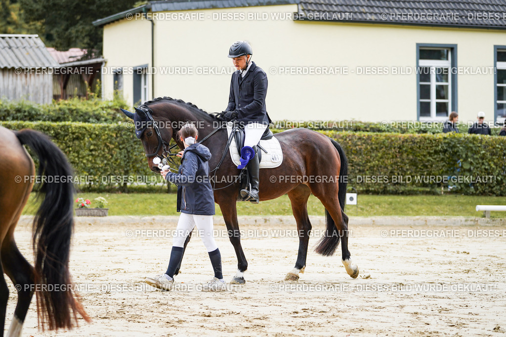 DSC05053 | Pferdegrafie