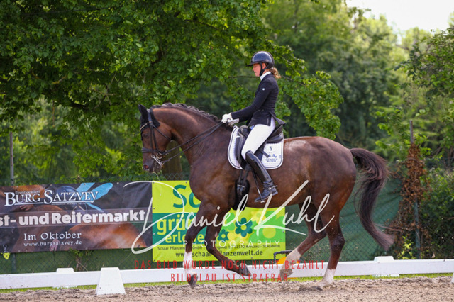 DKP40959 | Turnierfotos kaufen im Webshop von Daniel Kuhl Photography – entdecke professionelle Reitsportfotos aus Turnieren & Events. Hochwertige Turnierbilder online bestellen & sichern. Jetzt Fotos von Reitsportturnieren kaufen!