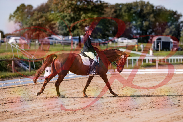 2026_10_03_Siefer-Hof_114422_Z81_87010843 | Professionelle Reitsport-, Turnier- und Eventfotografie von Robert Broda. Galerien mit ausgewählten und bearbeiteten Bildern direkt online ansehen und bestellen.