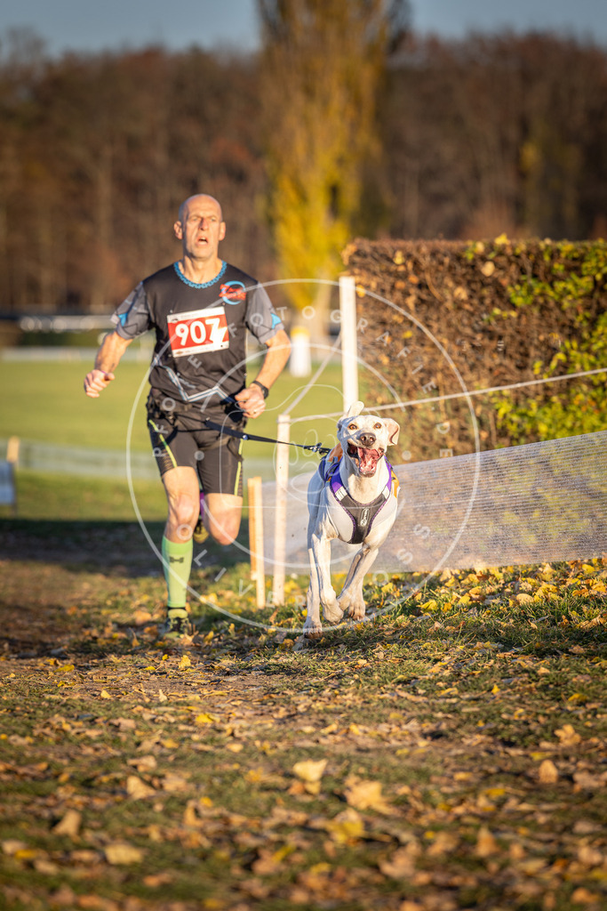CaniXpix_DV3A4731 | Hundefotografie, Tierfotograf, Pfotenfotografie, Fotoshooting Hund, Hunde Portrait, Hundesport, Hundeportraits, Heideshooting, Hunde, Sportfotograf, Hundefotograf, Turnierhundsport, THS,  - Realisiert mit Pictrs.com