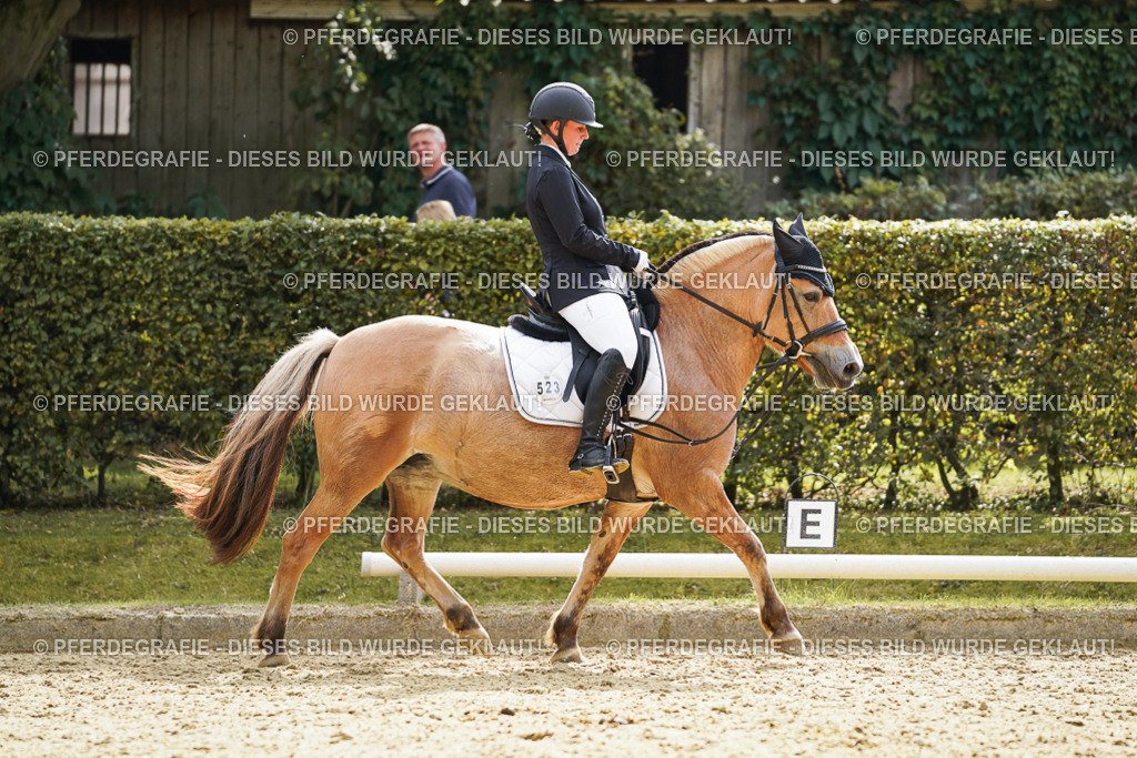 DSC01343 | Pferdegrafie