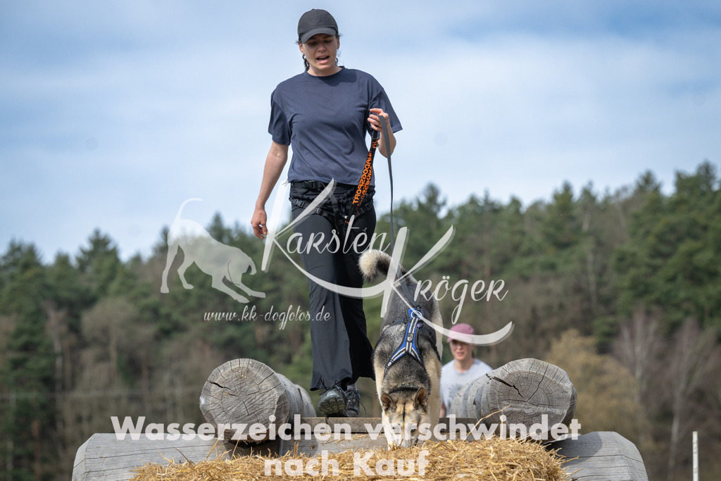 1049_ZZ93952 | kk-dogfotos