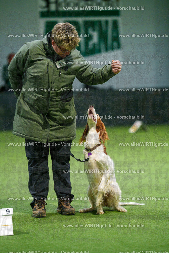 7R504817 | Professionelle Tierfotografie in Mönchengladbach von Daniel Wirth (allesWIRTHgut). Liebevolle & natürliche Bilder von Hunden & Katzen für unvergessliche Erinnerungen.