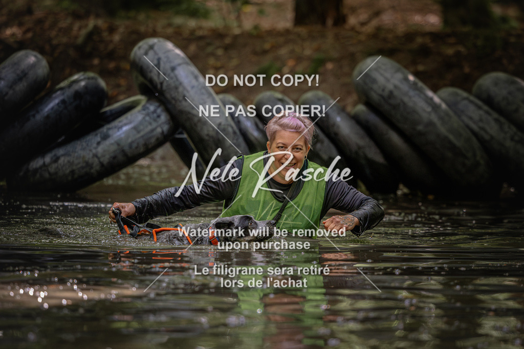 nelerasche_SaWingst1400-1500_312 | nelerasche