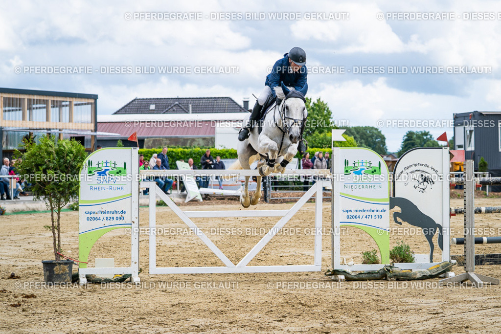 DSC05982 | Pferdegrafie