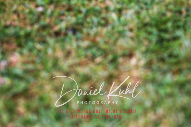 DKP47164 | Turniersportfotografie; Pferdefotografie; Dressurfotografie