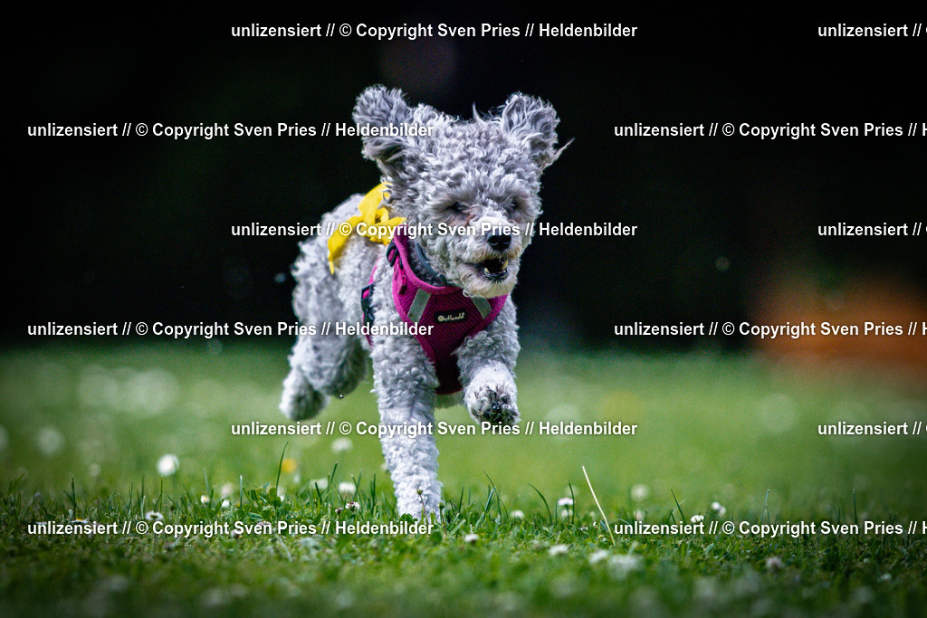 Sven Pries | 2025-05-29 - Pudelrennen KA-Durlach - Realisiert mit Pictrs.com