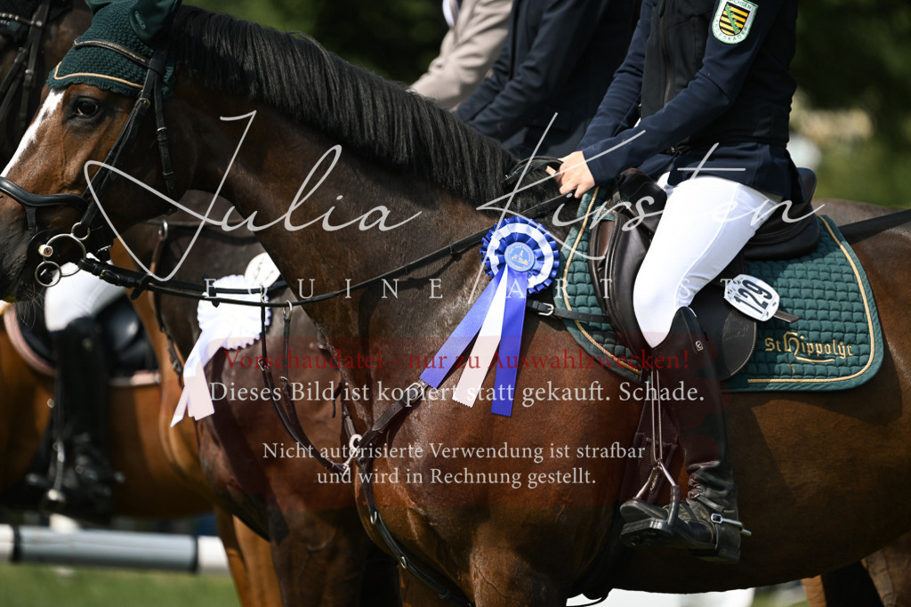 DSC_0705 | Pferde- und Turnierfotografie in Westsachsen. Pferdeportraits, Auftragszeichnungen und intuitive Kunst.