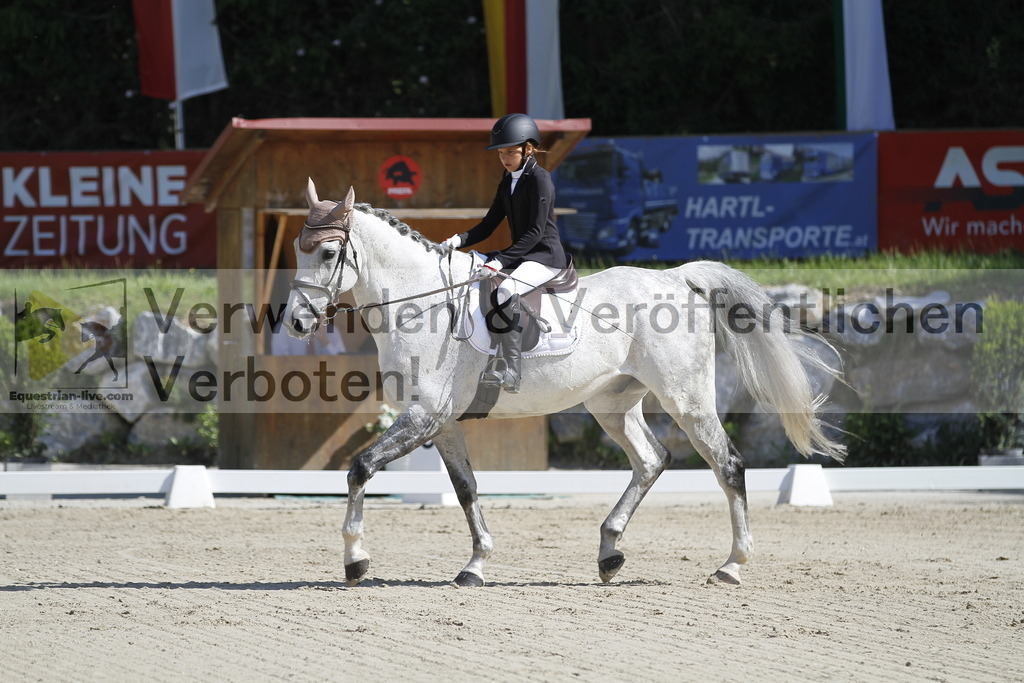 _MG_6589 | equestrian-live-com