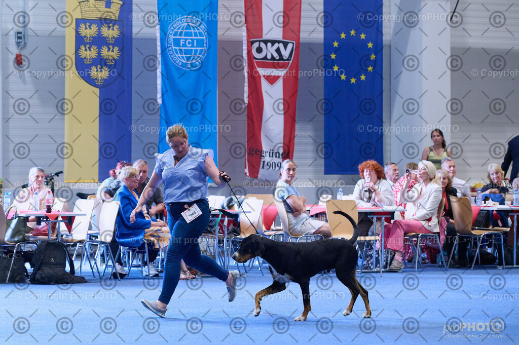 202406_ÖKV-IHA-Tulln24_DSC_4008 | proPHOTO - Realisiert mit Pictrs.com