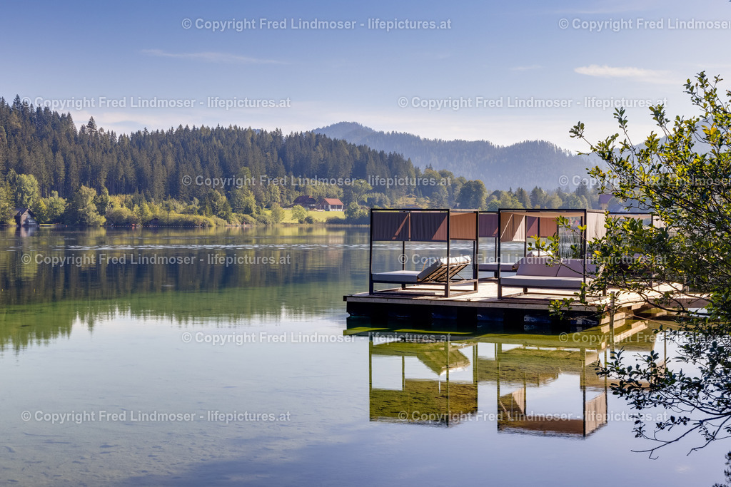 Montestyria_07092022--3 | Fotos und Fotoprodukte - Realisiert mit Pictrs.com