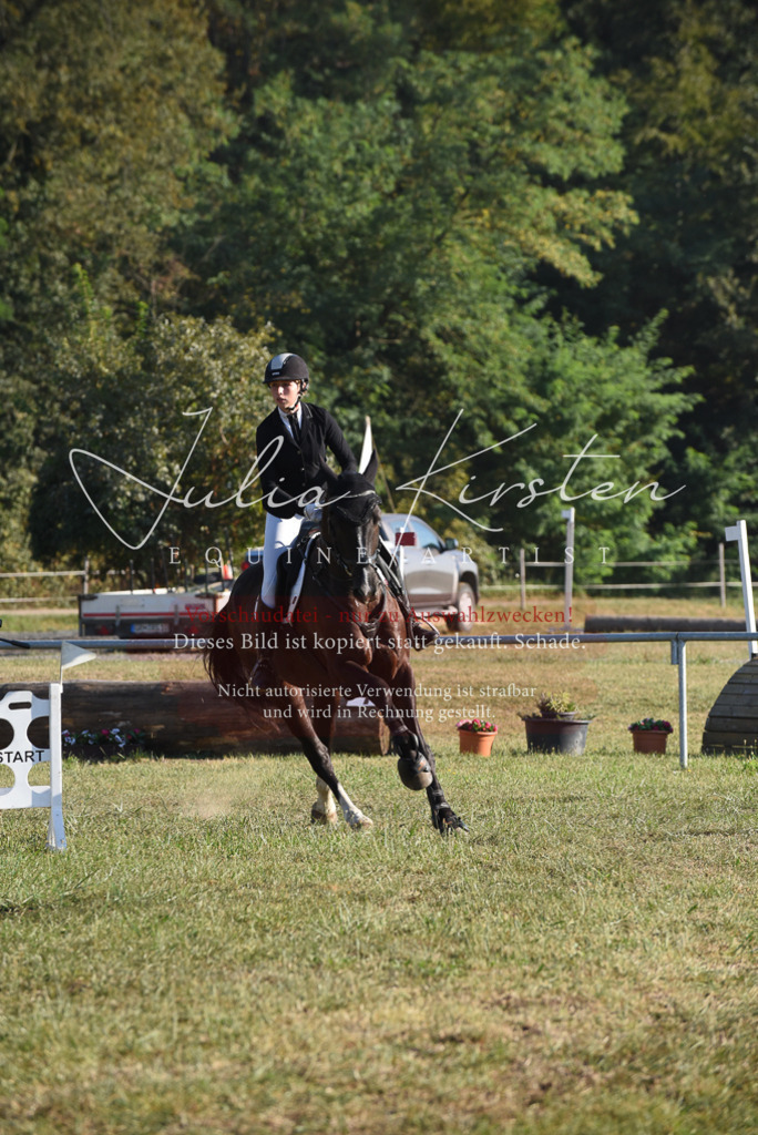 DSC_5033 | Pferde- und Turnierfotografie in Westsachsen. Pferdeportraits, Auftragszeichnungen und intuitive Kunst.