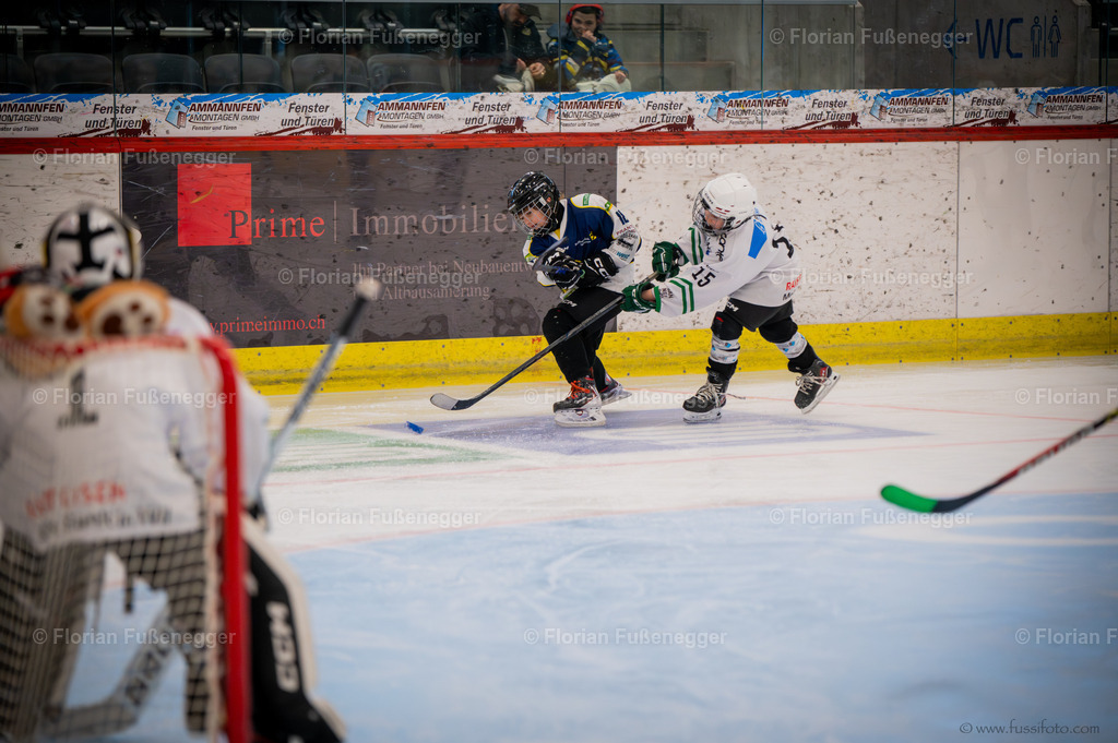 DSC_2148 | "Fussifoto.com – Ihr Ansprechpartner für hochwertige Fotografie! Entdecken Sie kreative Bilder und professionelle Dienstleistungen. Kontaktieren Sie uns für Ihre Projekte!"