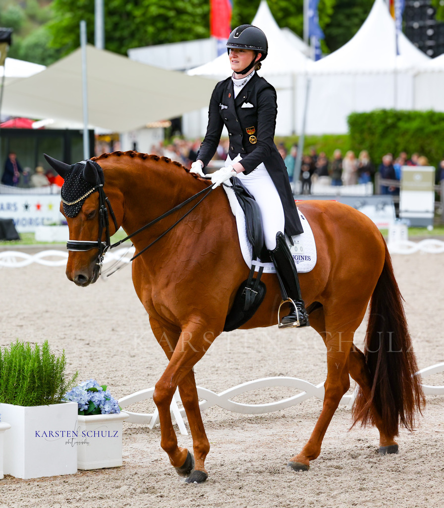 1B3A8594 | Reitsport Reiten