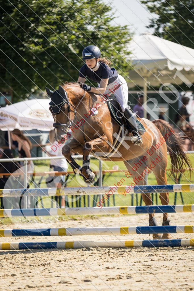IMG_2850 | Sport-, Event- und Tierfotos in Profiqualität. Einfach auswählen, bestellen und herunterladen. Dein Moment – perfekt festgehalten.